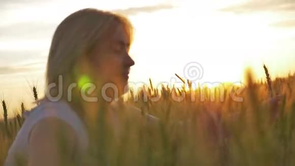 在阳光下拍摄金色小麦的女孩视频的预览图