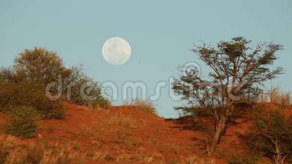 卡拉哈里月亮景观视频的预览图