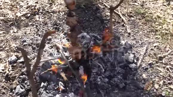 火上的石串一个美丽的构图视频的预览图