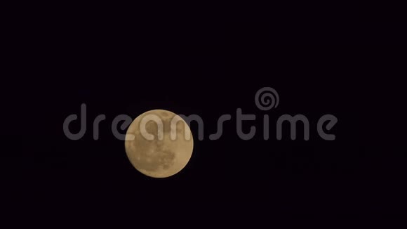 满月时刻实时视频的预览图