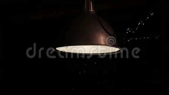 昆虫在夜灯周围飞行视频的预览图
