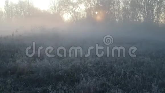 雾蒙蒙的早晨飞越了湖面上空的无人机视频的预览图