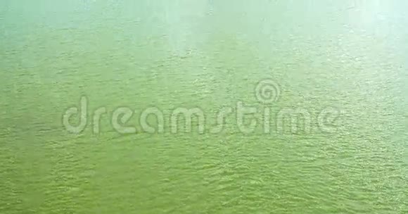 平静的绿水湖与波浪视频的预览图