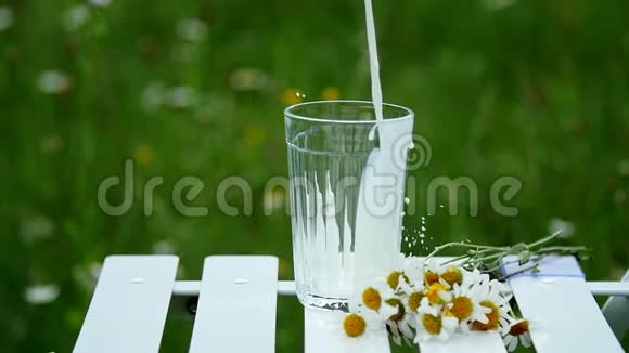 特写镜头放慢脚步将牛奶倒入玻璃烧杯中旁边躺着一束雏菊在这种背景下视频的预览图