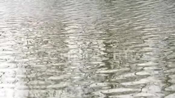 关闭干净河流的涟漪在水面上闪耀反射4k视频慢动作视频的预览图