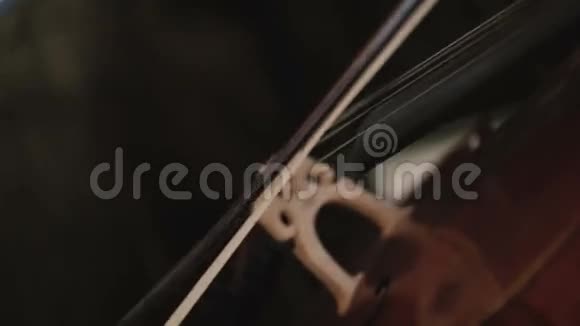 音乐家演奏双低音视频的预览图