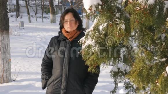 一个年轻的女人在公园里街道上有一棵冷杉手摸着树枝检查它们冬季视频的预览图