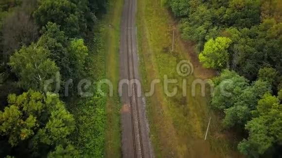 穿越被森林包围的铁路视频的预览图