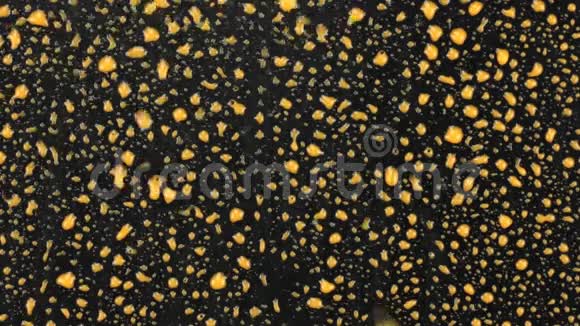 抽象背景黄色的油漆流淌在黑色的表面上视频的预览图
