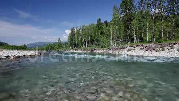 阿尔泰夏日视频的预览图