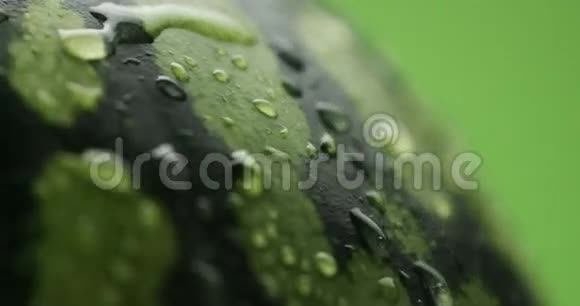 在绿色背景上旋转的水滴覆盖的西瓜视频的预览图