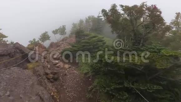 在薄雾和雾中徒步爬山视频的预览图