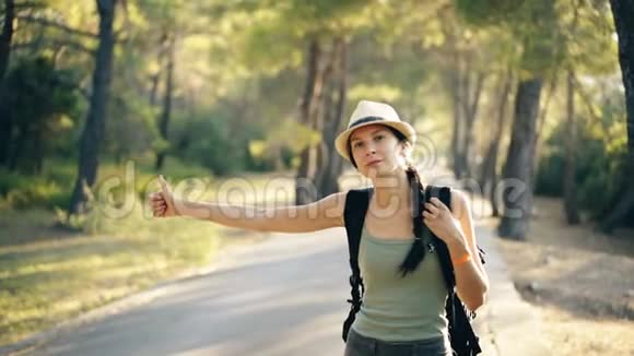 旅行者女人在阳光明媚的森林路上搭便车旅游女孩想搭车开始她的旅程视频的预览图