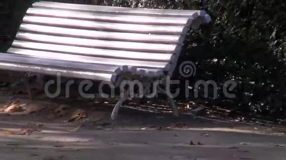 公园树篱旁的白色长凳视频的预览图