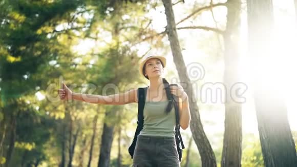 旅行者女人在阳光明媚的森林路上搭便车旅游女孩想搭车开始她的旅程视频的预览图