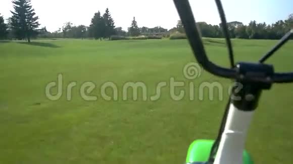 草地背景上的手杖视频的预览图