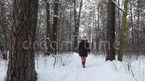 冬天的森林女孩在其中行走后景视频的预览图