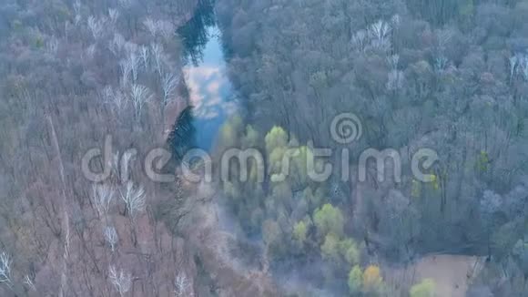 在田野附近的森林里飞过河流视频的预览图