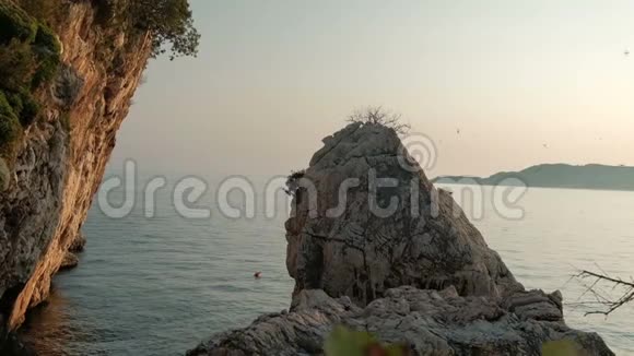 在一个巨大的岩石上用一艘船环绕着一群鸟在海边视频的预览图