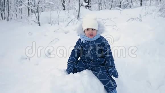 冬天孩子们坐在树林里的雪地上视频的预览图