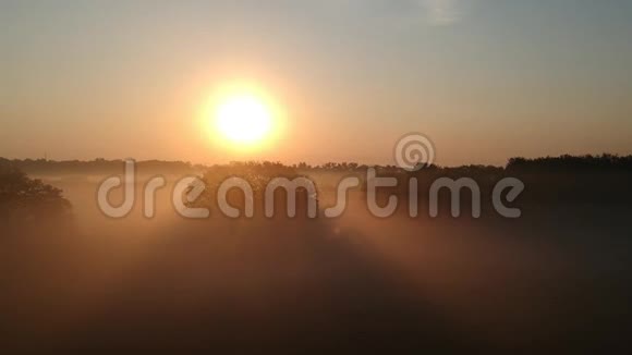雾蒙蒙的早晨飞越了湖面上空的无人机视频的预览图