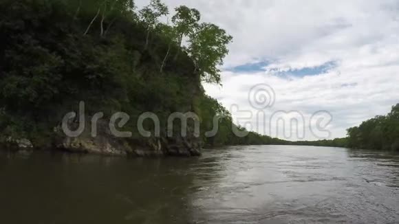 泥泞的山河岩石河岸上生长着桦树视频的预览图