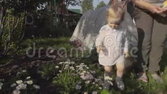 小女孩在花园里摘雏菊视频的预览图