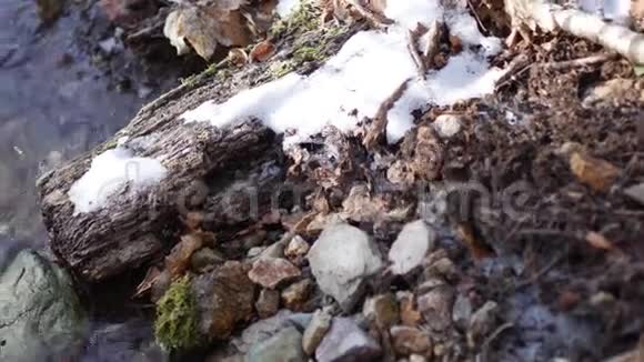 溪在山雪中春天清澈的山视频的预览图