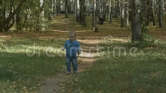 小男孩在秋天公园跑步视频的预览图