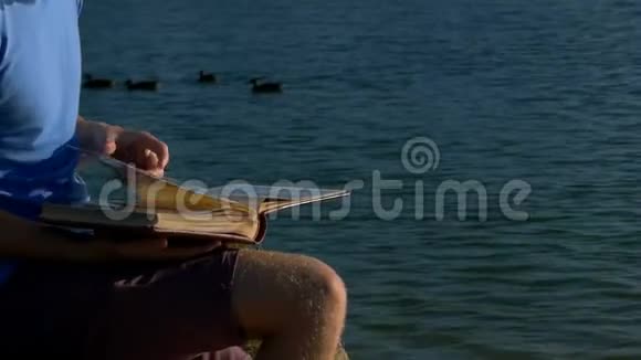 人看湖岸上的照片鸭子在附近游泳视频的预览图