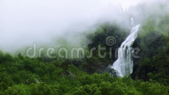 山间绿林瀑布景观夏日浓雾弥漫自然没有人视频的预览图