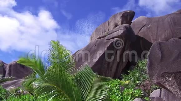 塞舌尔群岛上有岩石和棕榈树的海滩视频的预览图
