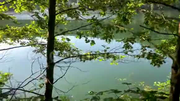 土耳其东部黑海萨瓦萨特阿尔特文的萨瓦萨特卡拉戈黑湖风景视频的预览图