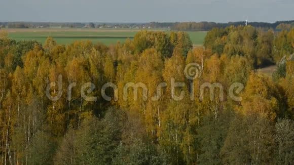 立陶宛Birzai县的风力涡轮机在前面的远处可以看到视频的预览图