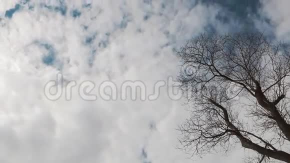 云层背景云景阳光蓝天夏日蓝天上云的快速运动天空背景视频的预览图