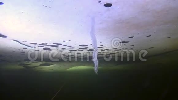 白色海冰双底冰柱上的独家冰柱视频的预览图