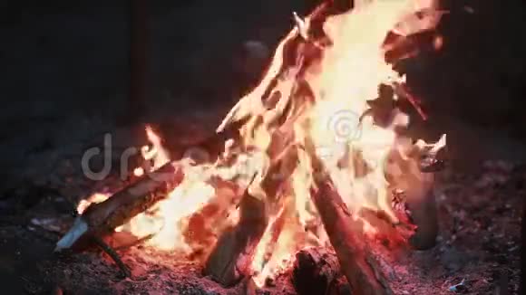 夜晚燃木美景打开壁炉视频的预览图