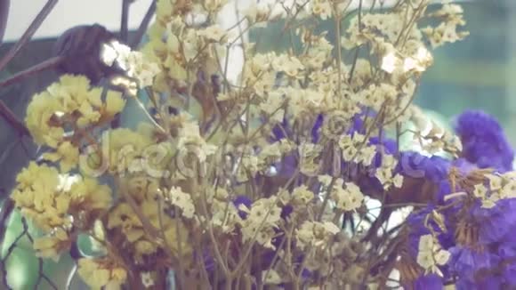 干黄紫花的特写花束视频的预览图