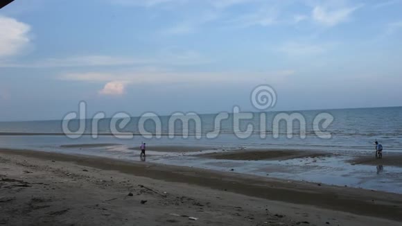 泰国的人们在泰国的SuratThani海滩上用耙挖发现贝类视频的预览图