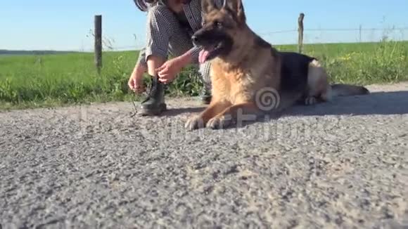 一个漂亮的女孩在路上牵着一只狗在她旁边视频的预览图