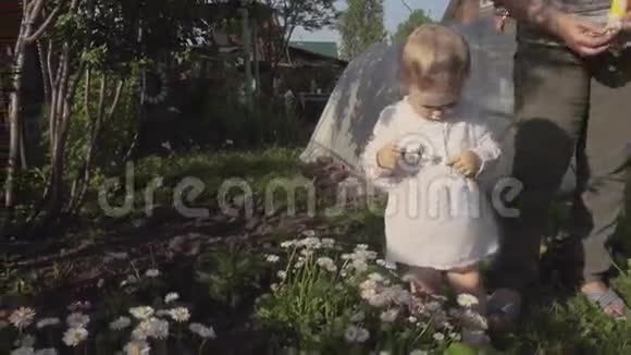 小女孩在花园里摘雏菊视频的预览图