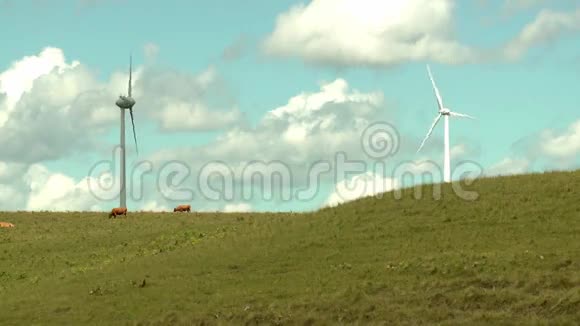 附近有农田和奶牛的风电场视频的预览图