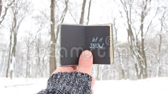 让它下雪吧引用冬季视频的预览图