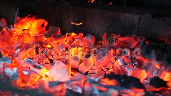 烤架上用煤做暖身视频的预览图