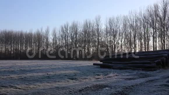 寒冷的早晨冬天的日出在乡村有小径树木和原木视频的预览图