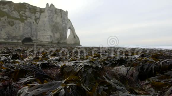 岩石背景下低潮时裸露的海藻蚀刻机法国2016年12月视频的预览图