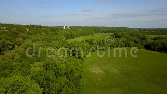 夏季阳光明媚的日子林间草甸空中景观视频的预览图