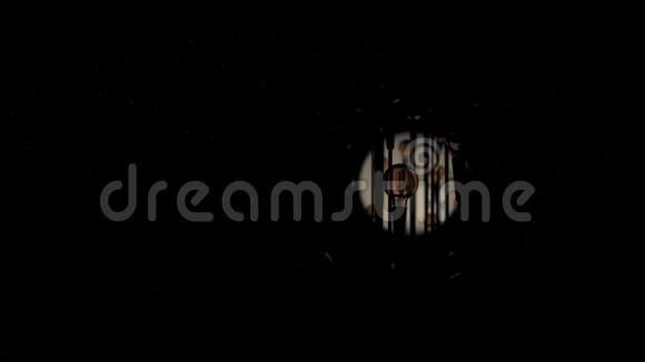 爱迪生隧道黑暗中的老式灯泡视频的预览图