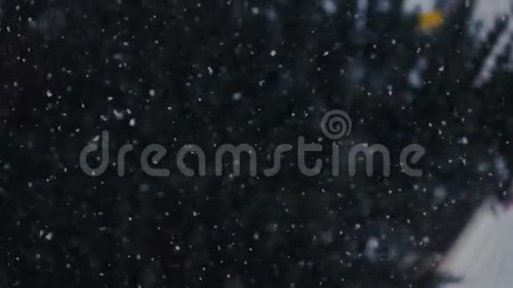 降雪在云杉松林仙境冬天视频的预览图