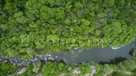 4空中镜头在森林里飞过河流顶部视图视频的预览图